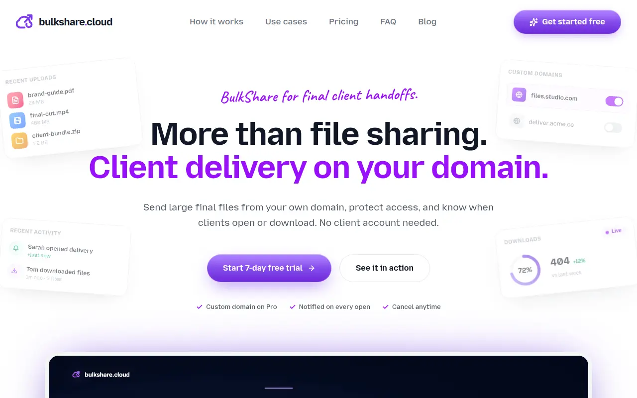 BulkShare.cloud