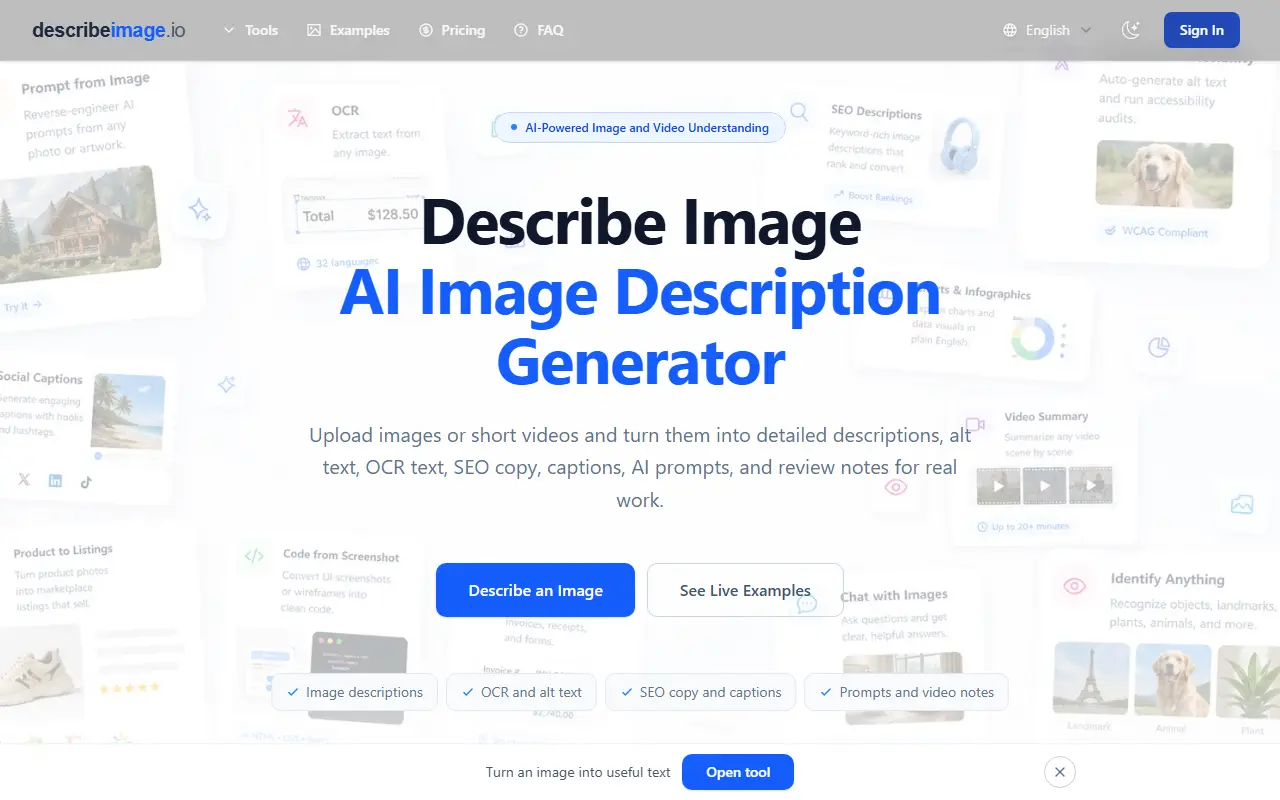 Describe Image