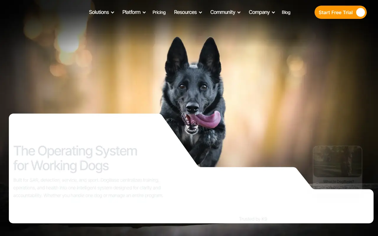 DogBase v2 Official Launch