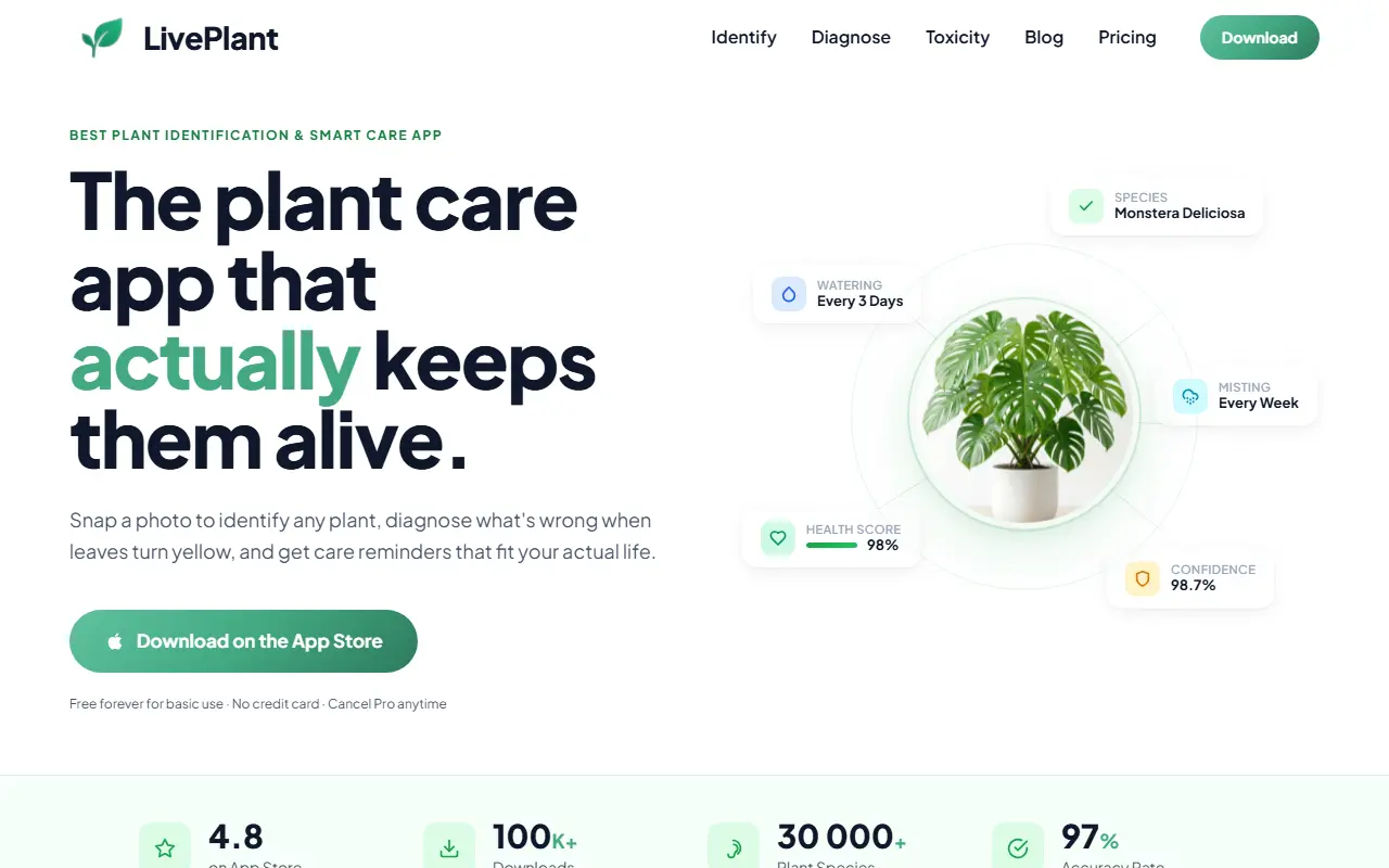 LivePlant