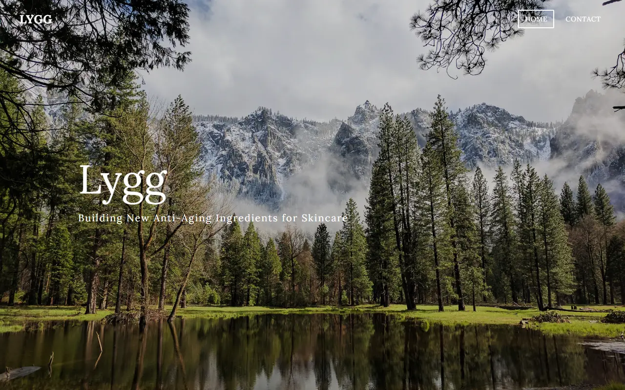 Lygg