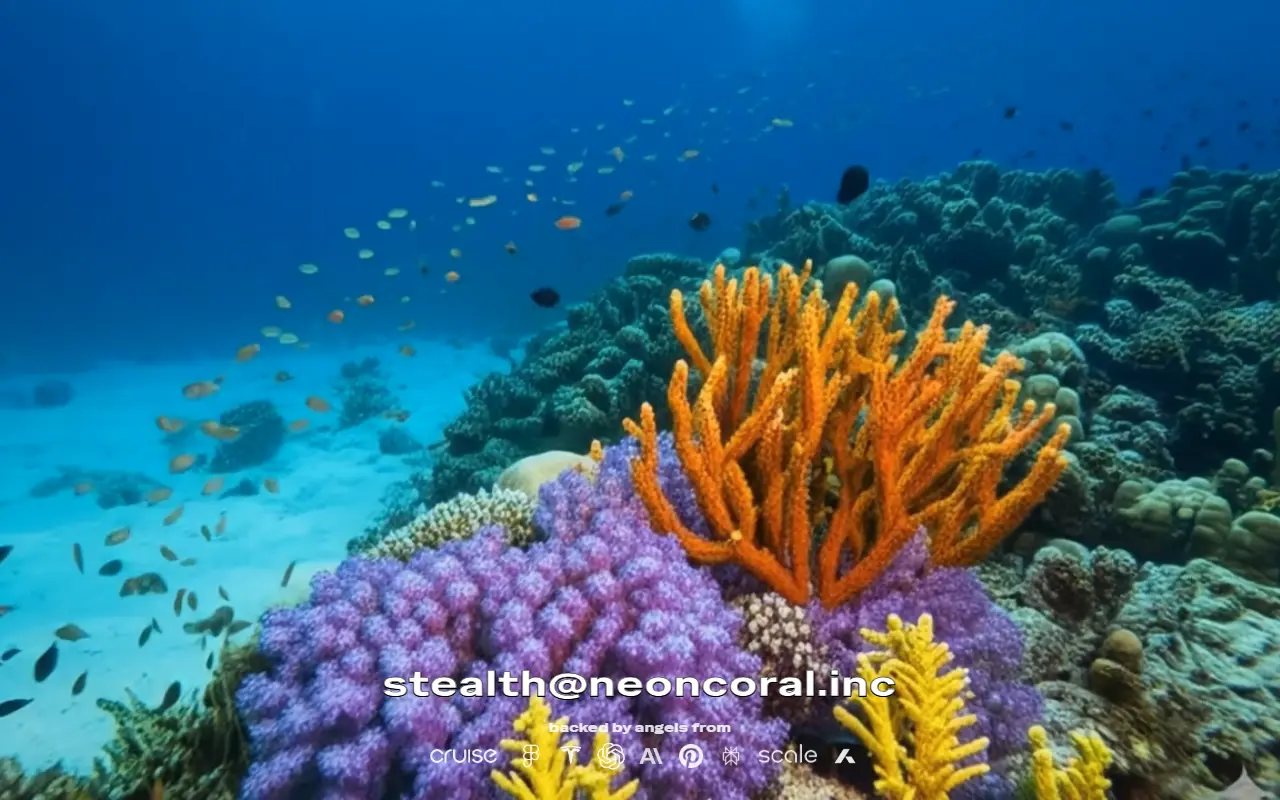 neoncoral