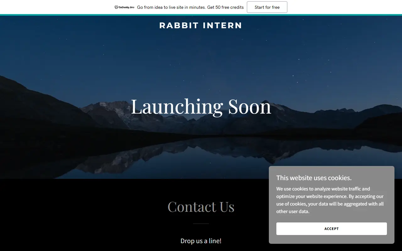 rabbit intern