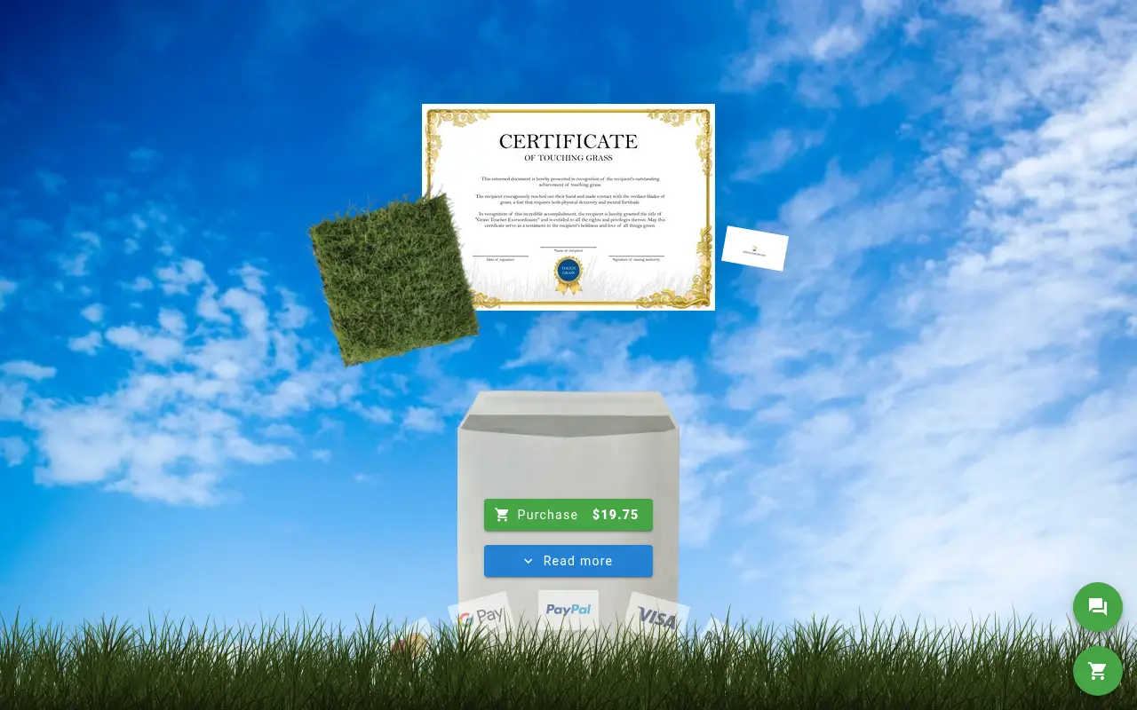 Touch Grass Store