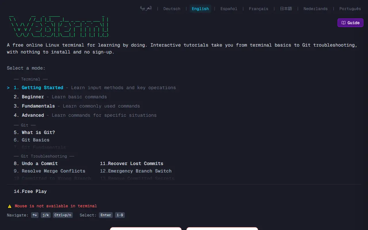 WebTerm