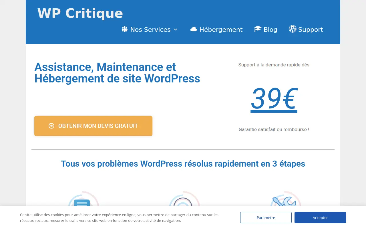 WP CRITIQUE
